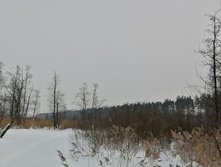 IMG 20210221 125429.jpg