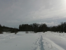 IMG 20210227 114055.jpg