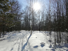 IMG 20210223 124214.jpg