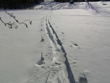 IMG 20210223 130840.jpg