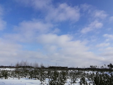 IMG 20210206 114616.jpg