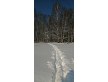 IMG 20210214 124230.jpg