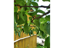 ����������� viber 2021-02-22 10-07-53.jpg