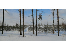 IMG 20210206 114550.jpg