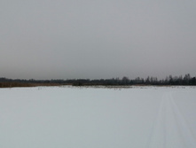 IMG 20210221 121111.jpg