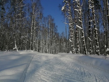 IMG 20210214 111805.jpg