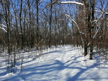 IMG 20210223 121608.jpg