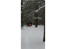 IMG 20210227 104333.jpg