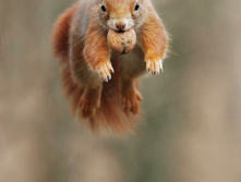 ������� ���� � ������!