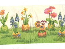 309.jpg 15 ���. �������� 1 ��.