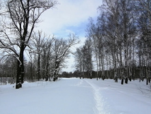 IMG 20210227 112330.jpg