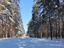 IMG 20210222 114945.jpg