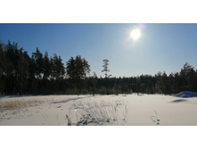 IMG 20210222 133622.jpg