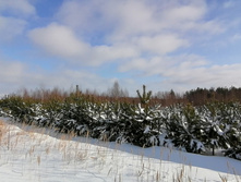 IMG 20210206 112734.jpg