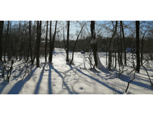 IMG 20210223 115008.jpg