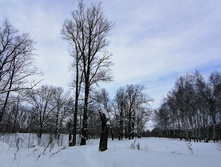 IMG 20210227 111639.jpg