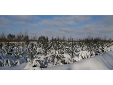 IMG 20210206 112204.jpg