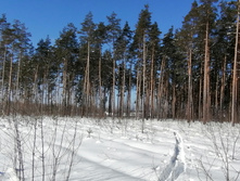 IMG 20210222 113248.jpg