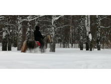 IMG 20210227 111520.jpg