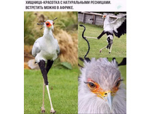 FB IMG 1614053852281.jpg