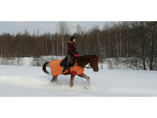 IMG 20210227 112625.jpg