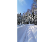 IMG 20210214 114929.jpg