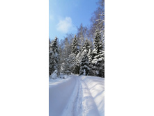 IMG 20210214 115458.jpg