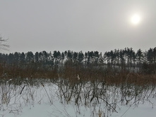 IMG 20210221 124448.jpg