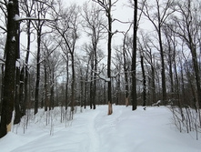 IMG 20210227 104931.jpg