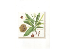 310.jpg 15 ��� � ������� 1 ��.