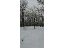 IMG 20210227 104323.jpg