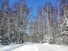 IMG 20210214 111342.jpg