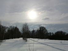 IMG 20210227 113502.jpg