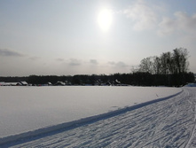 IMG 20210214 124254.jpg