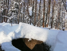 IMG 20210214 112507.jpg