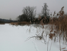 IMG 20210221 123750.jpg