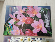 ���������� �������