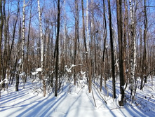 IMG 20210223 115701.jpg