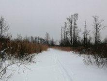 IMG 20210221 125100.jpg