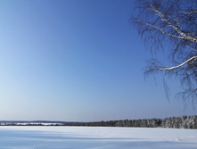 IMG 20210214 105210.jpg