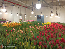 IMG 20210223 133015.jpg