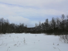 IMG 20210227 105509.jpg