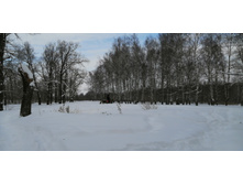 IMG 20210227 111506.jpg