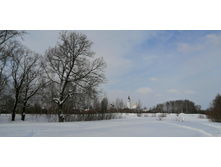 IMG 20210227 113114.jpg