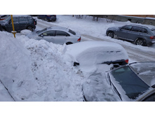 ������ ��� ������