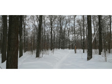 IMG 20210227 110948.jpg