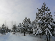 IMG 20210207 103435.jpg