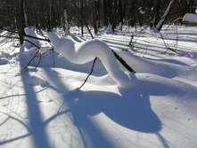 IMG 20210223 120658.jpg