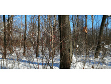 IMG 20210223 121642.jpg