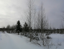 IMG 20210207 104407.jpg